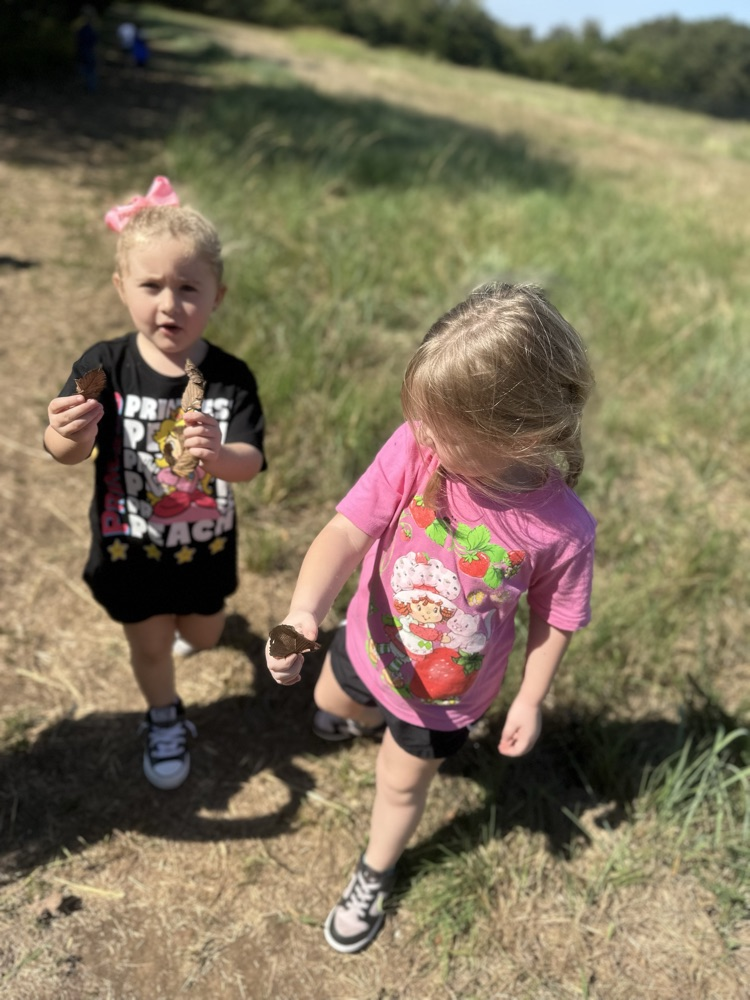 After learning about fall, Mrs. Fortner’s Pre-K class went on a leave hunt today, looking for beautiful fall colors!