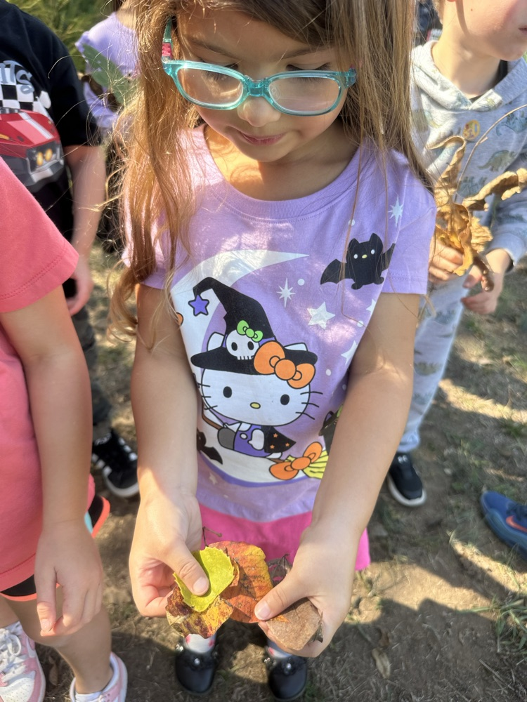 After learning about fall, Mrs. Fortner’s Pre-K class went on a leave hunt today, looking for beautiful fall colors!