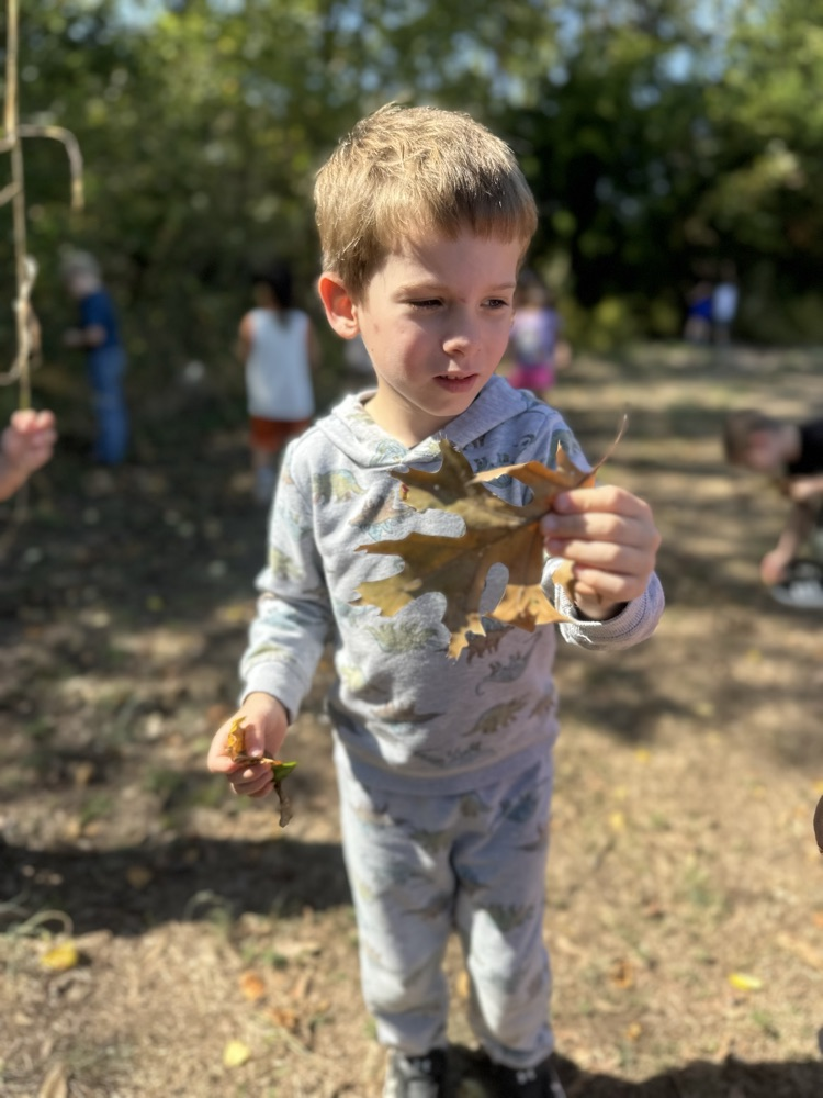 After learning about fall, Mrs. Fortner’s Pre-K class went on a leave hunt today, looking for beautiful fall colors!