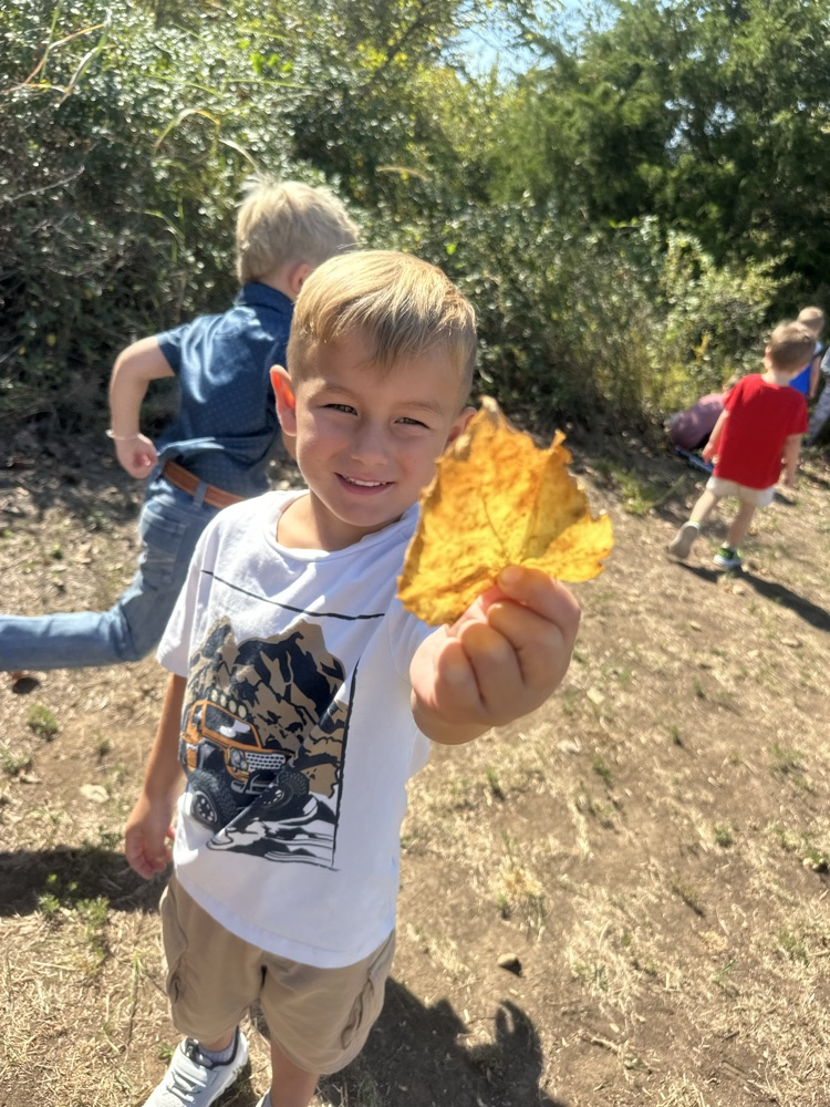 After learning about fall, Mrs. Fortner’s Pre-K class went on a leave hunt today, looking for beautiful fall colors!