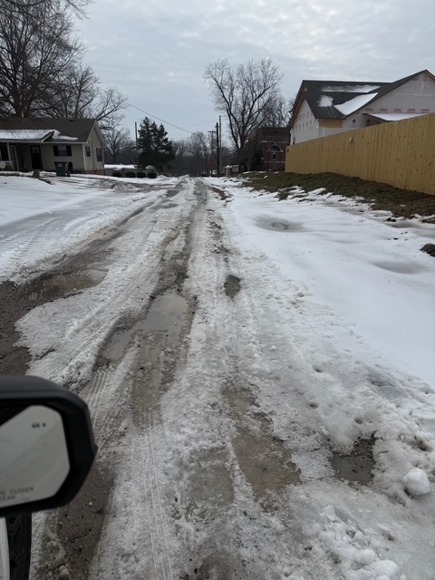 Ice in Lauderdale County.IMG_5918