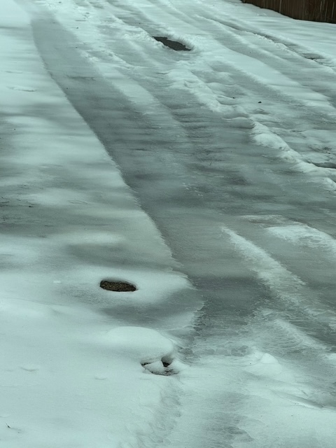 Ice in Lauderdale County.