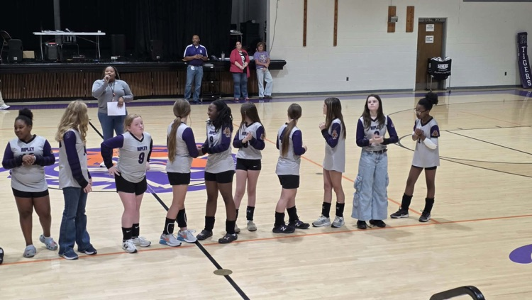volleyball