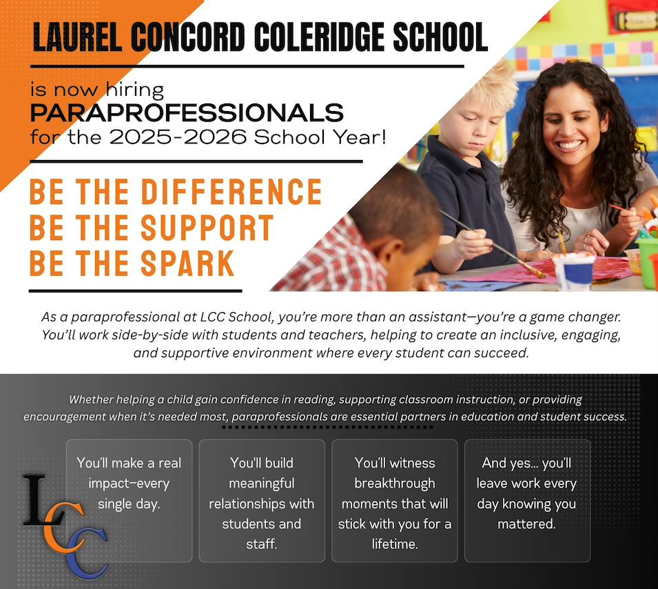 paraprofessional posting