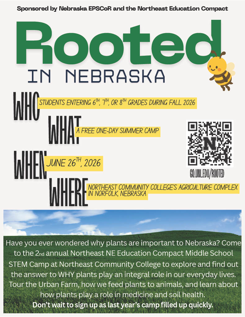 rooted poster