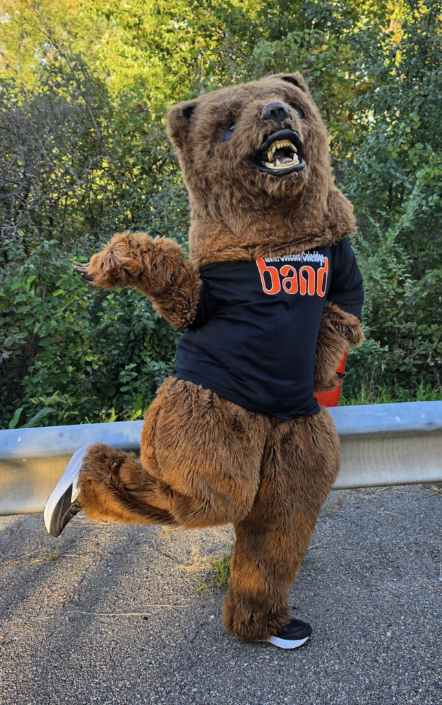 LCC Bear