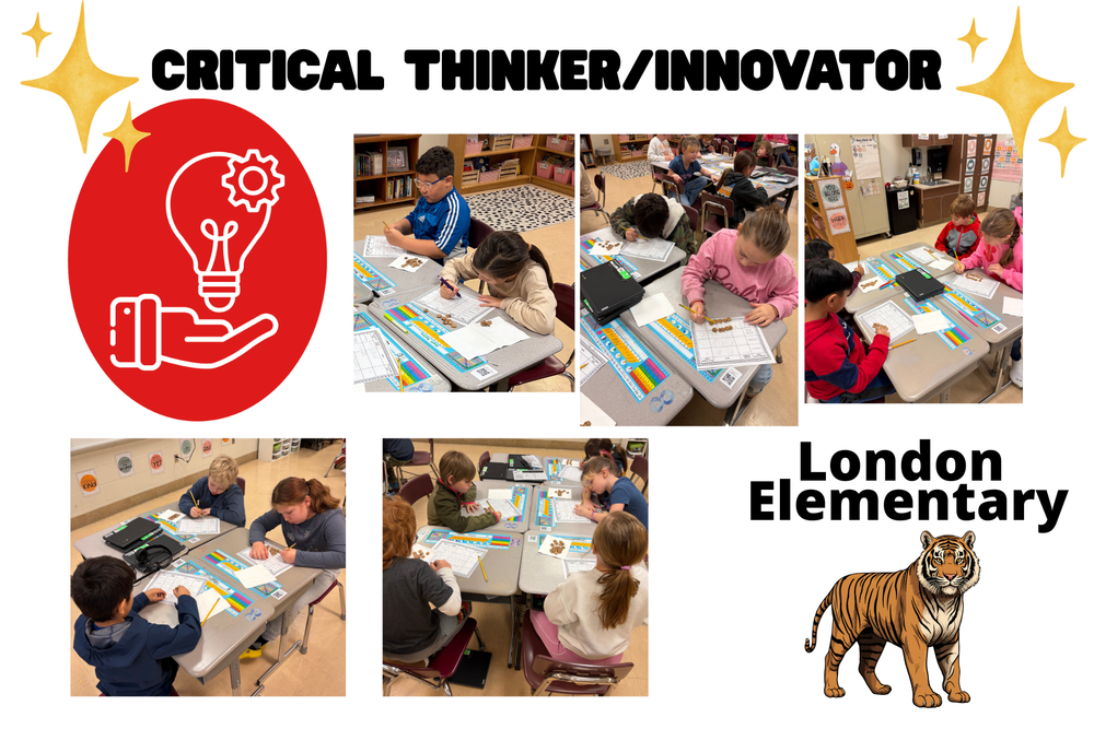 Critical Thinker/Innovator