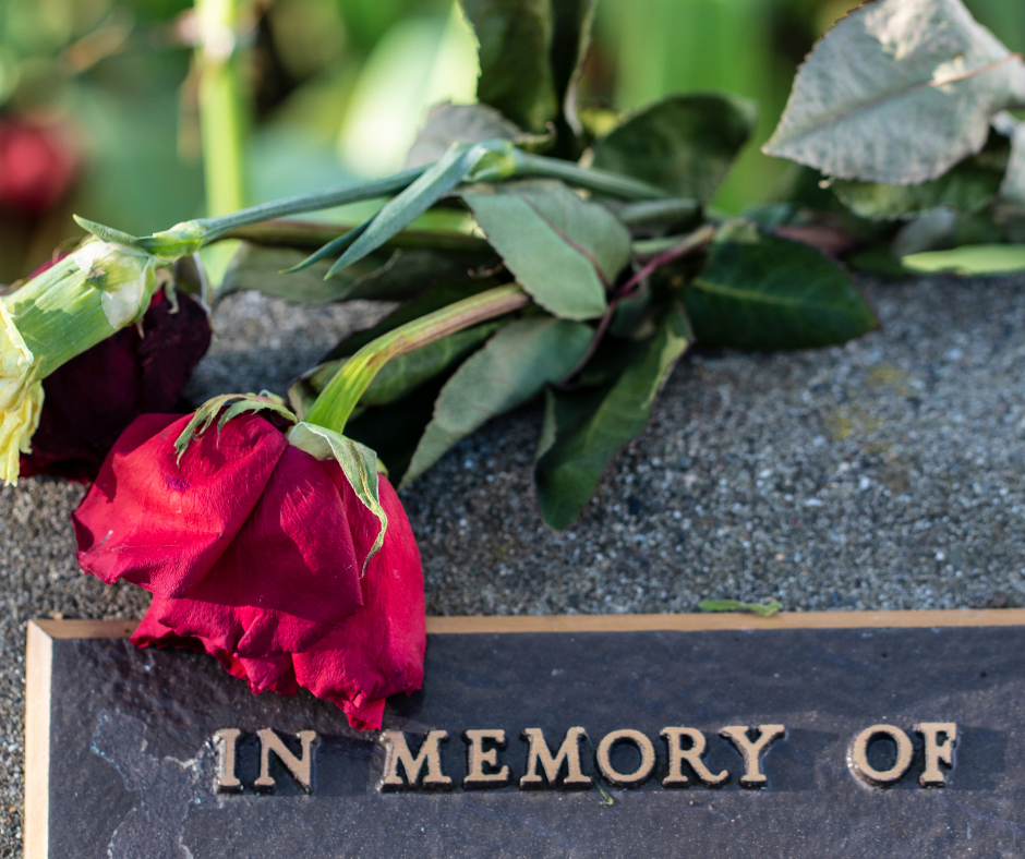 In Memory of with red rose