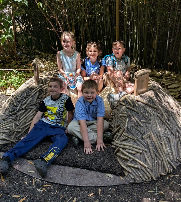A group of five boys and girl sits in an interactive zoo exhibit  