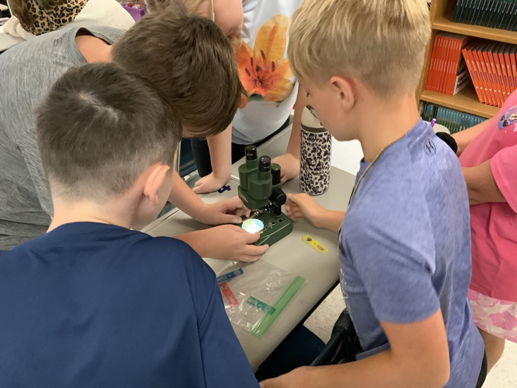 Students gather around a microscope sitting on a classroom desk. They are taking notes about their observations  