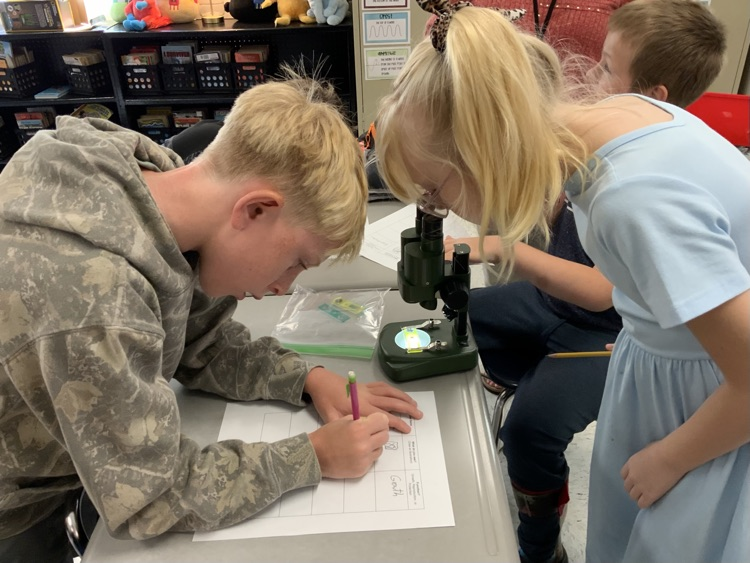 Students gather around a microscope sitting on a classroom desk. They are taking notes about their observations.