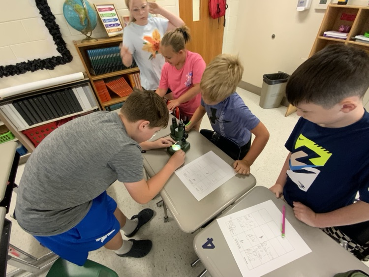 Students gather around a microscope sitting on a classroom desk. They are taking notes about their observations