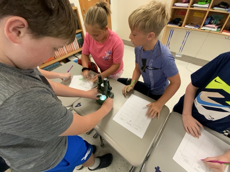 Students gather around a microscope sitting on a classroom desk. They are taking notes about their observations