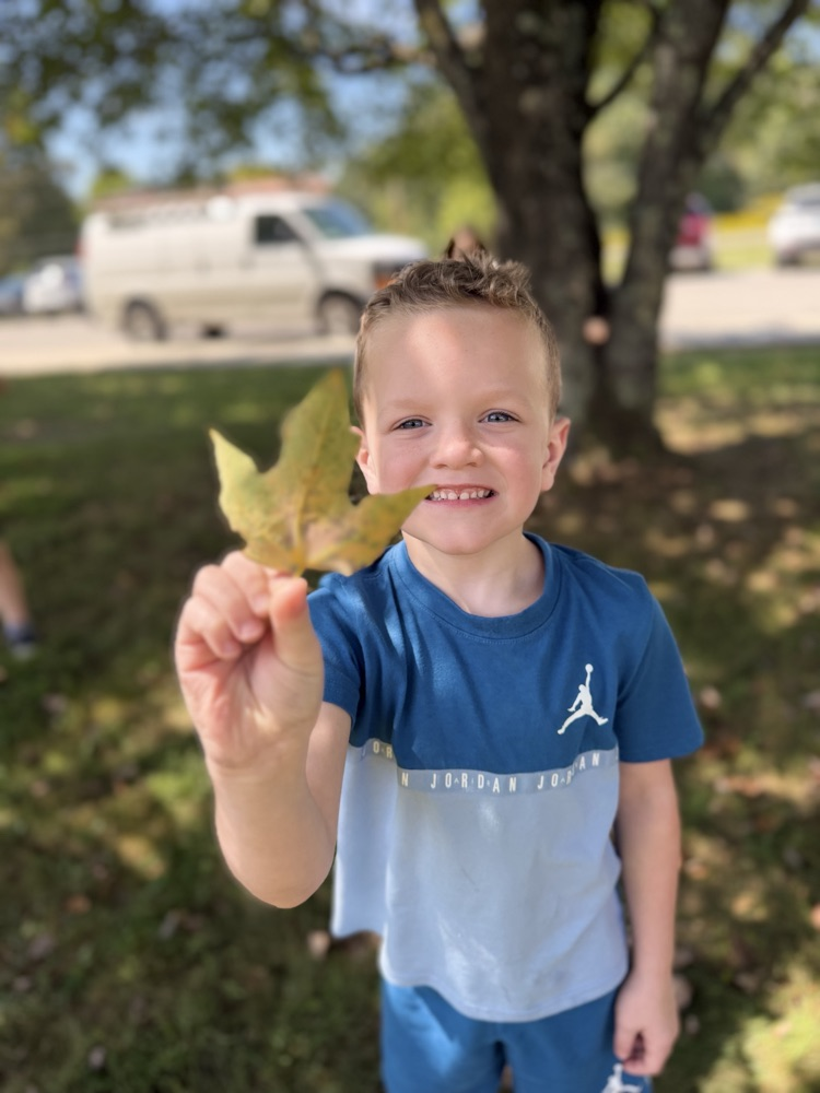 A young boy in a two toed blue T-shirt stands outside in the grass. He holds up a green leaf.