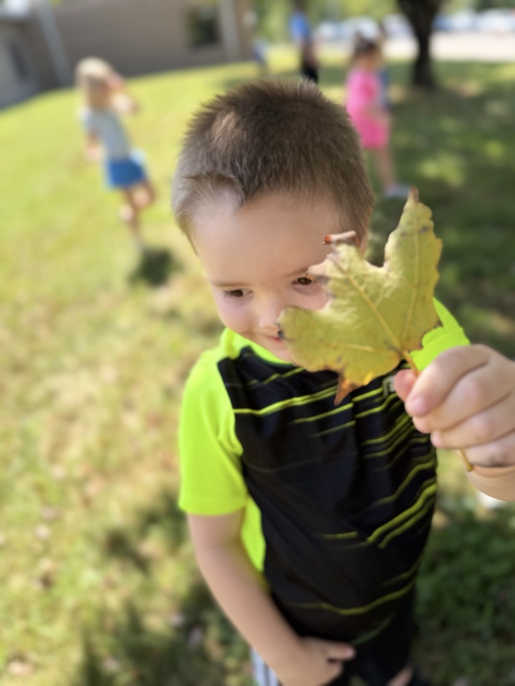 A young boy in a neon, green and black T-shirt holds a green leaf in front of his face, partially obscuring it. He stands in the grass in the shade of a tree.