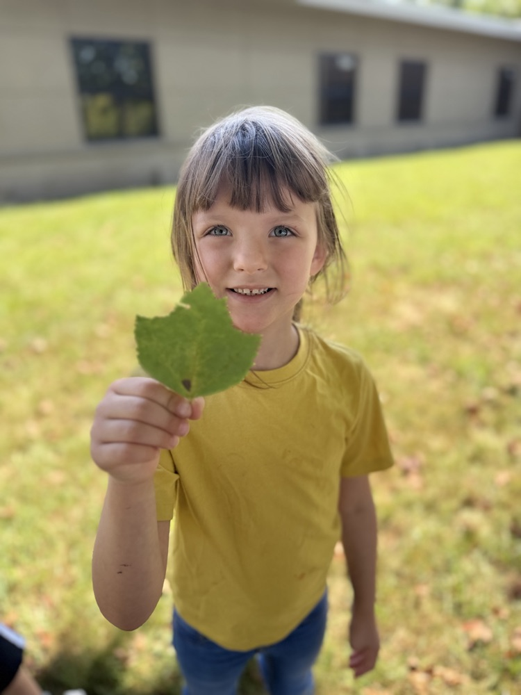 A young girl in a yellow T-shirt and blue pants holds up a leaf she found outside. She stands in a schoolyard with the school visible ball behind her.
