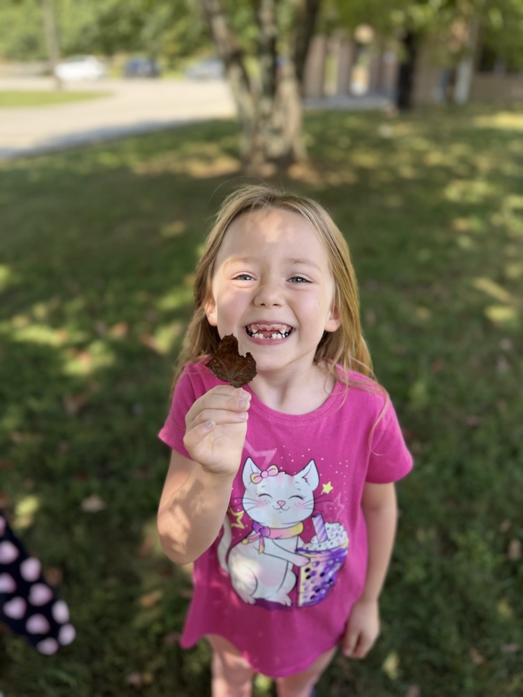 A young girl stands in the shade in the grass. She wears a pink T-shirt with a white cat on it. She smiles for the camera while holding up a Brown.