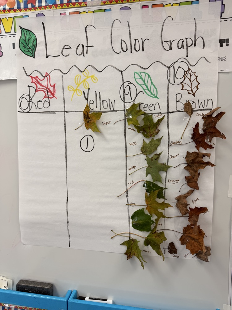 A teacher created graph is shown with the title leaf color graph. The color choices are red, yellow, green and brown. There are one yellow leaf, nine green leaves, and 10 Brown leaves shown.