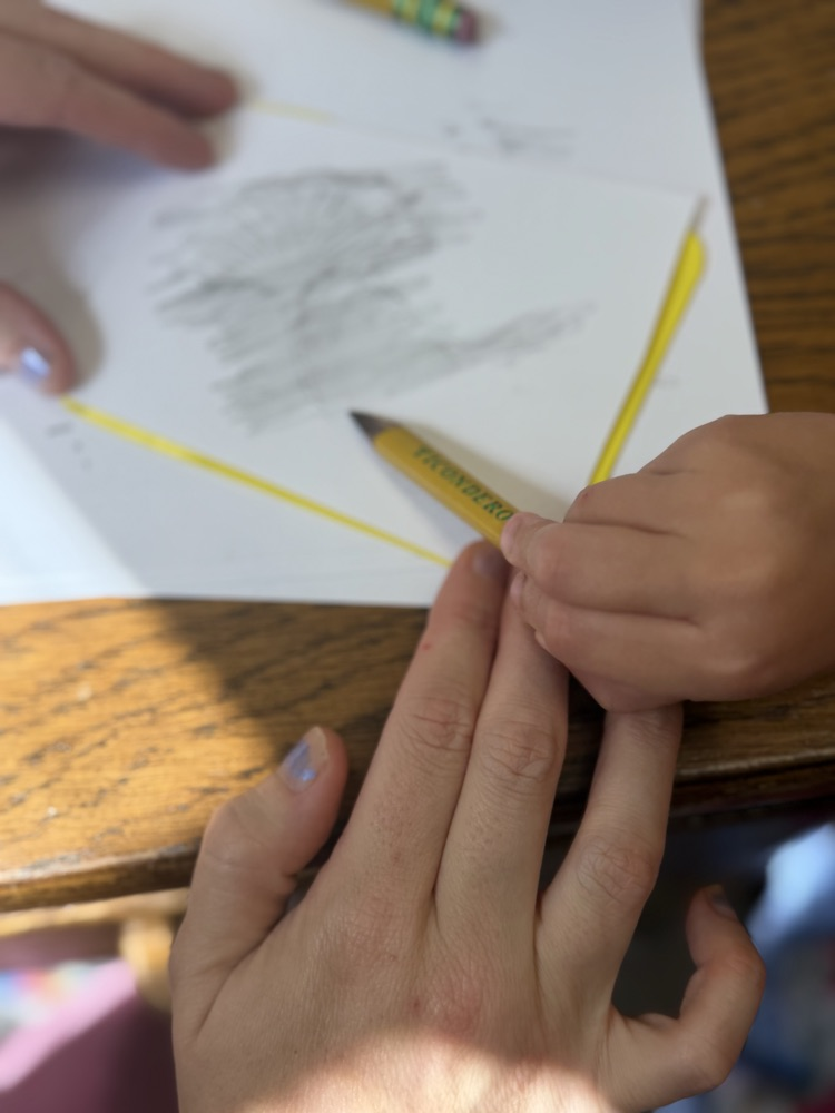 an adult’s hands are seen holding paper still while a child uses a pencil to complete a leaf rubbing.