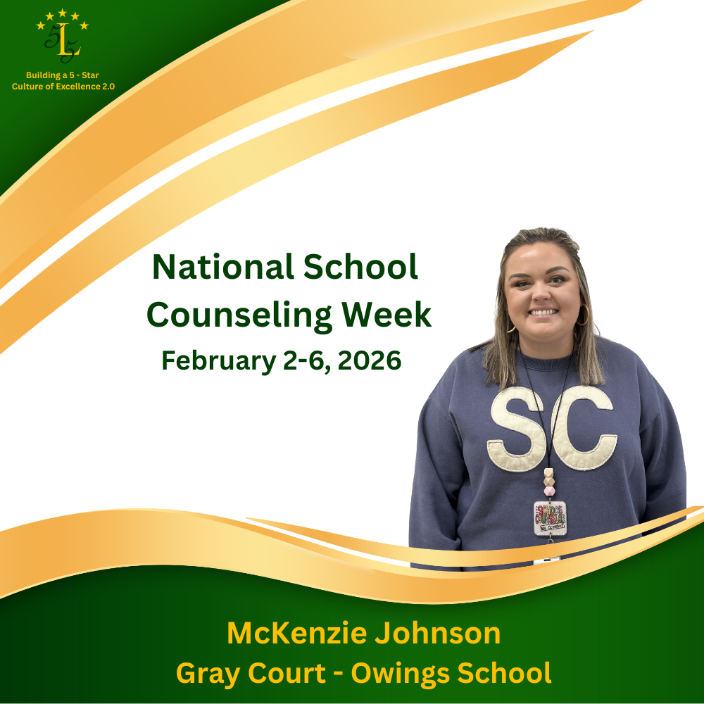 Building a 5-Star Culture of Excellence 2.0. National School Counseling Week February 2-6, 2026. McKenzie Johnson Gray Court - Owings School.