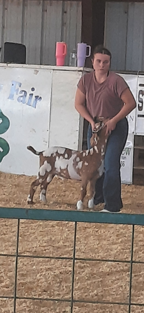 goat