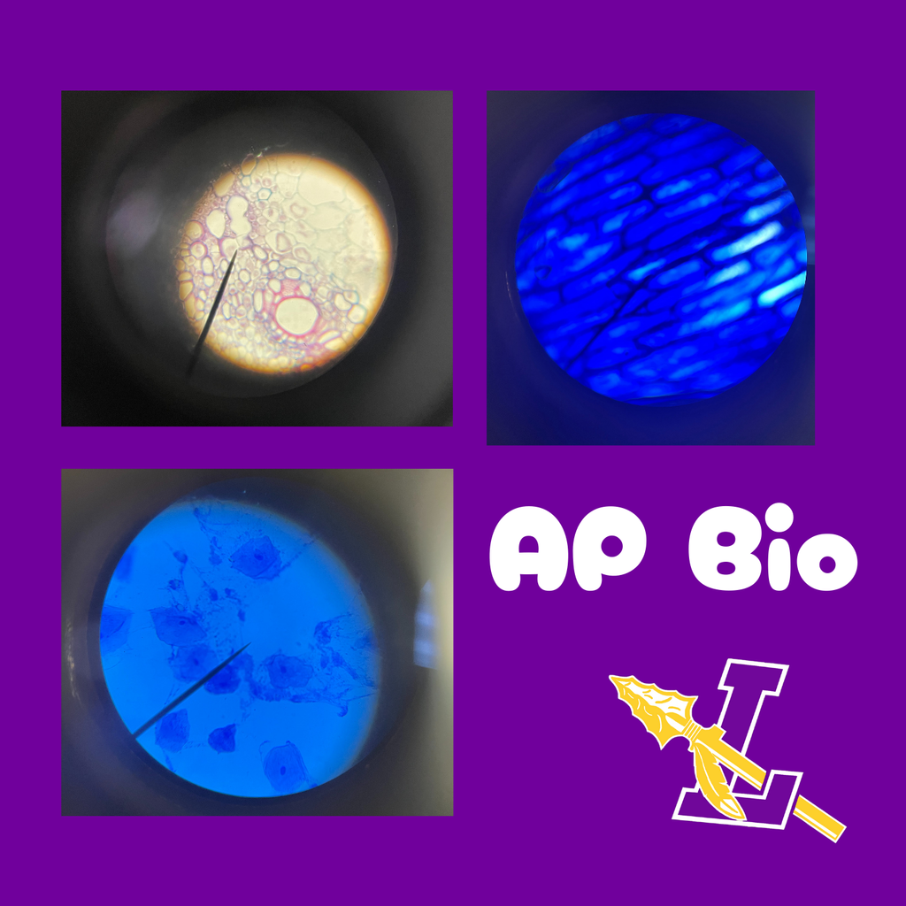 Science