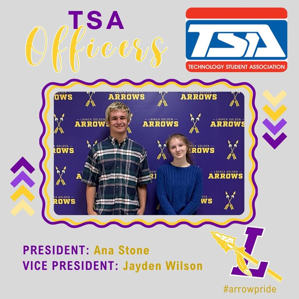 tsa
