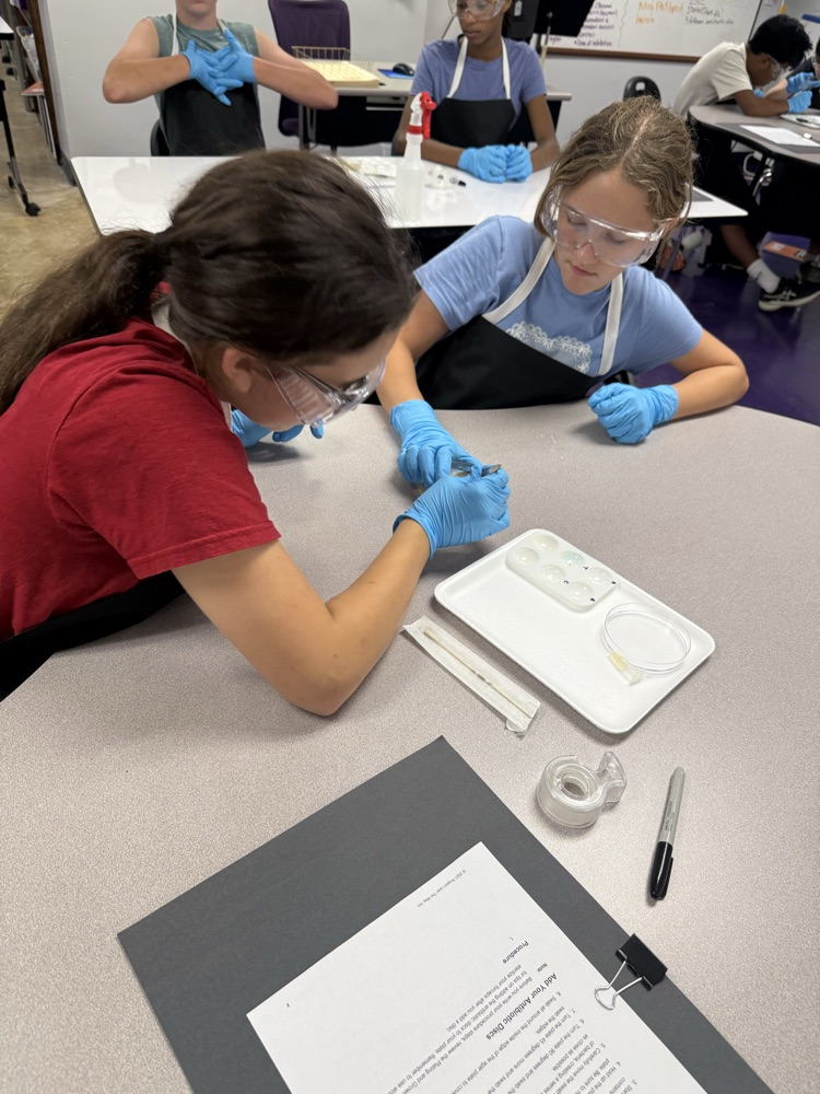 lab