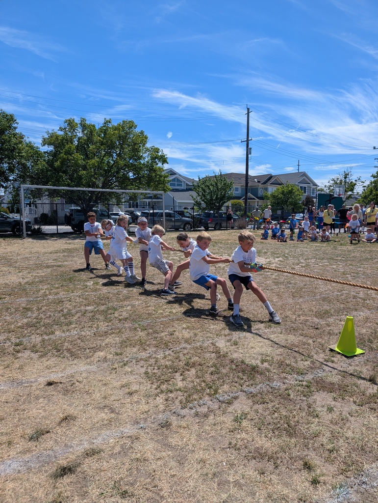 field day