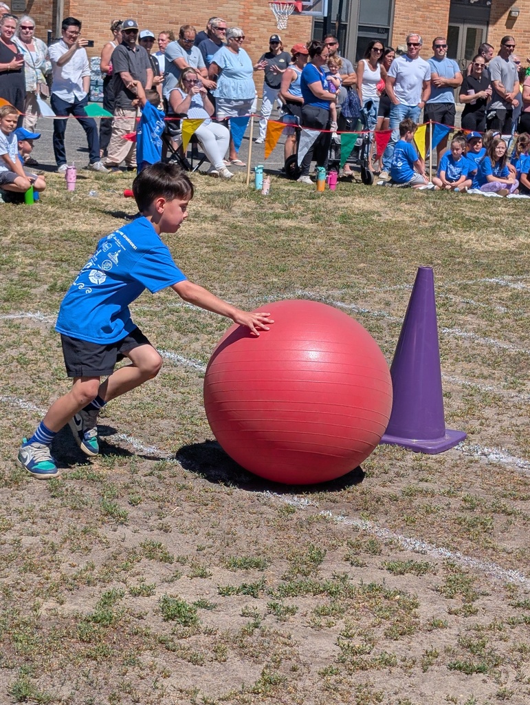 field day
