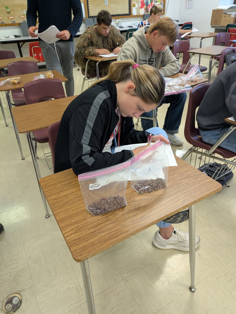 PXL_20251008_175417739