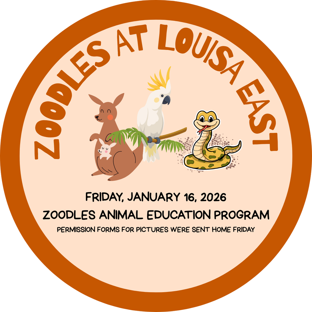 Zoodles Education Program