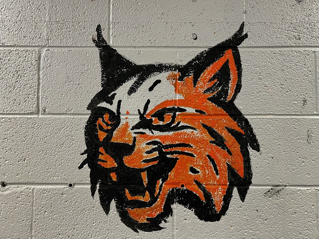 A stylized tiger face painted in orange and black on a white brick wall. The tiger's mouth is open.