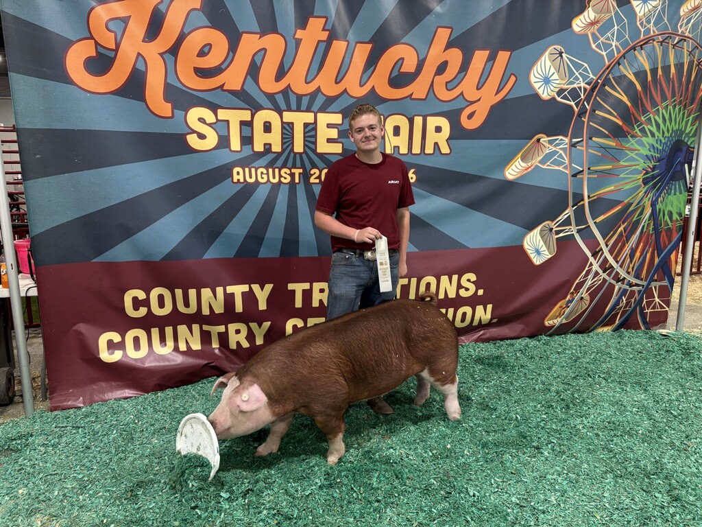 Person in a red shirt standing next to a pig. Behind them is a banner reading "Kentucky State Air".