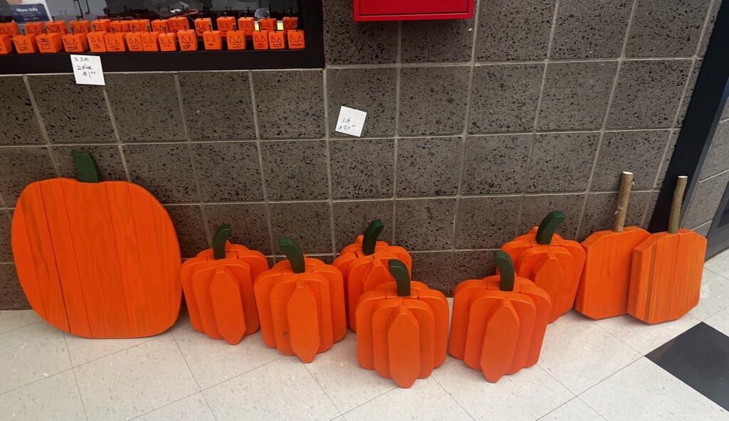 Orange pumpkins arranged in a row on a white floor, with a gray wall and white tiles in the background.