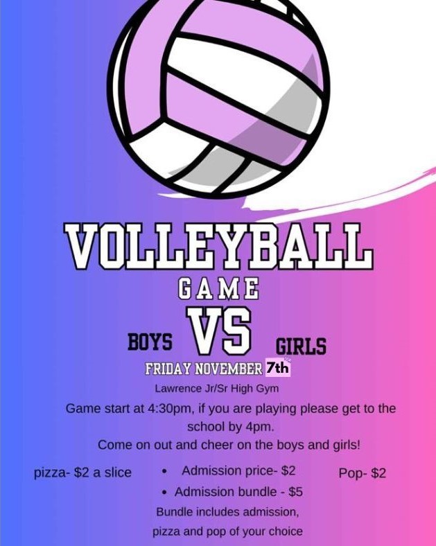 Boys vs Girls Volleyball Flyer