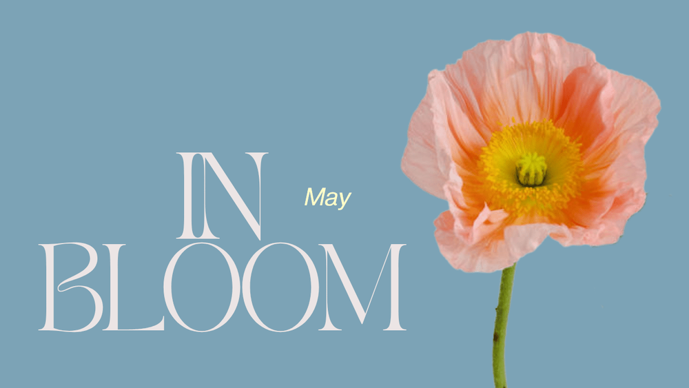 May Blooms Header