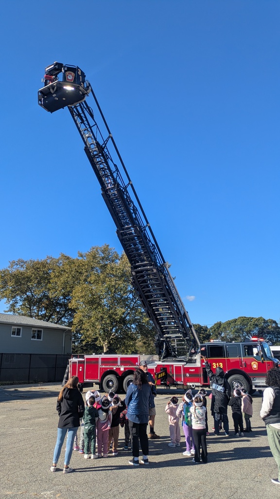 ladder