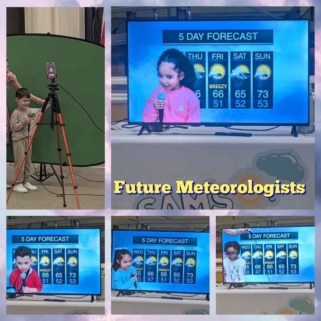 meteorologists