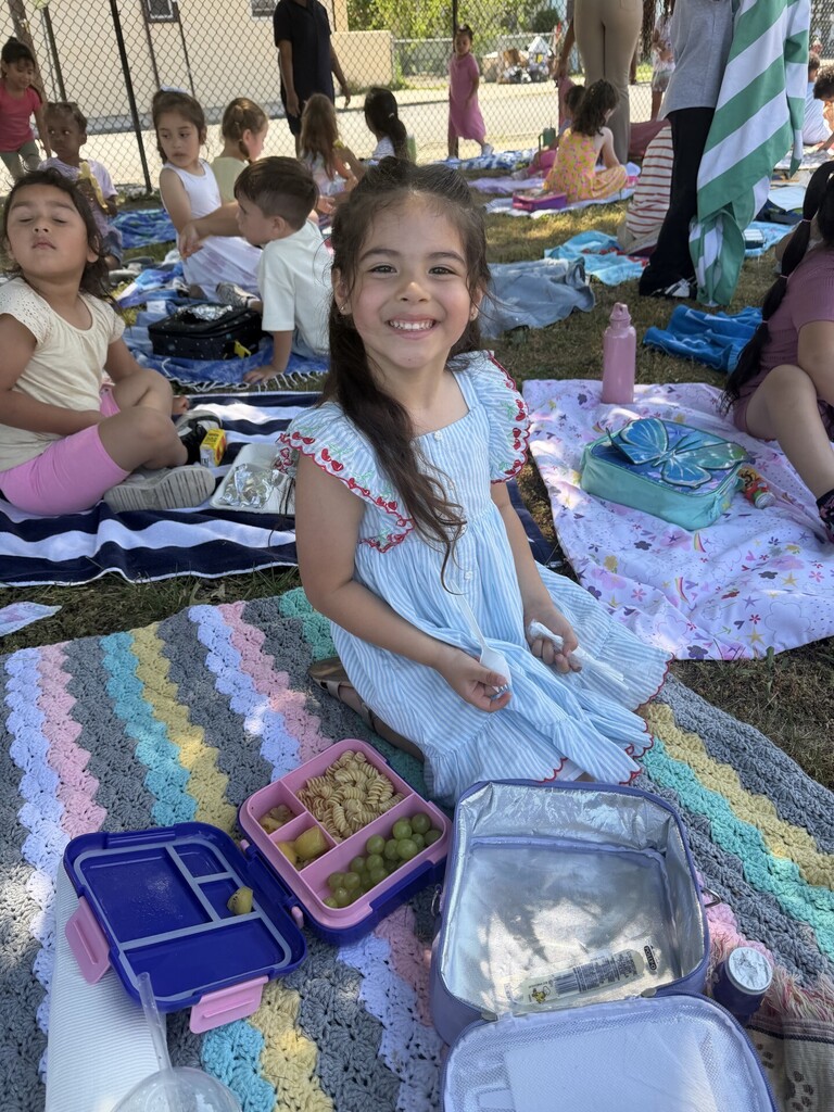 picnic
