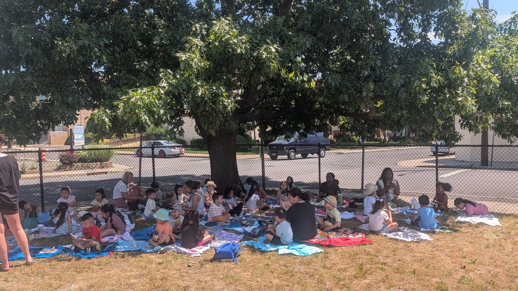 Outdoor Picnic