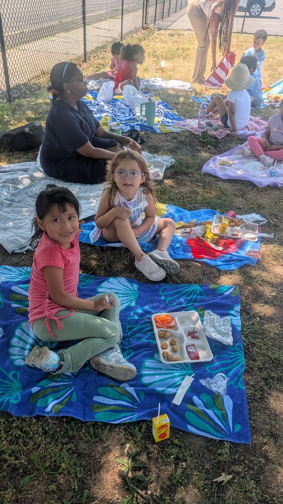 picnic