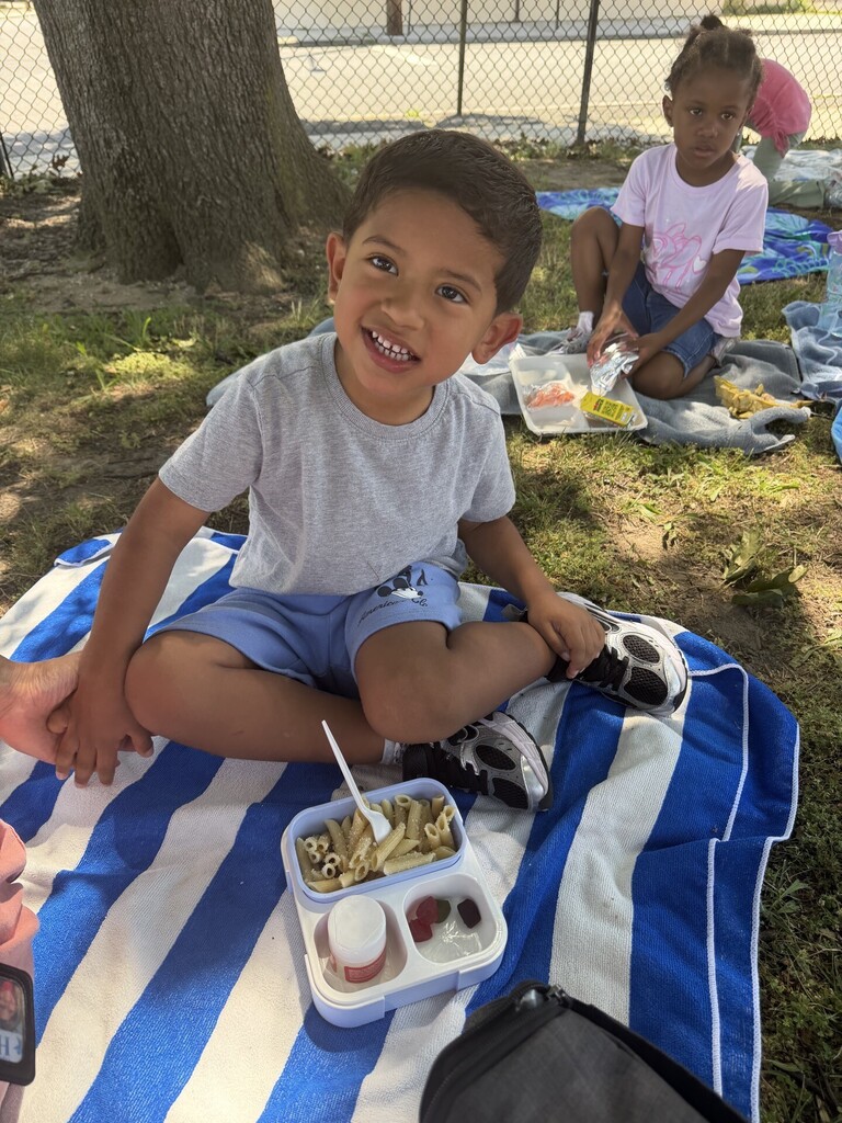 picnic