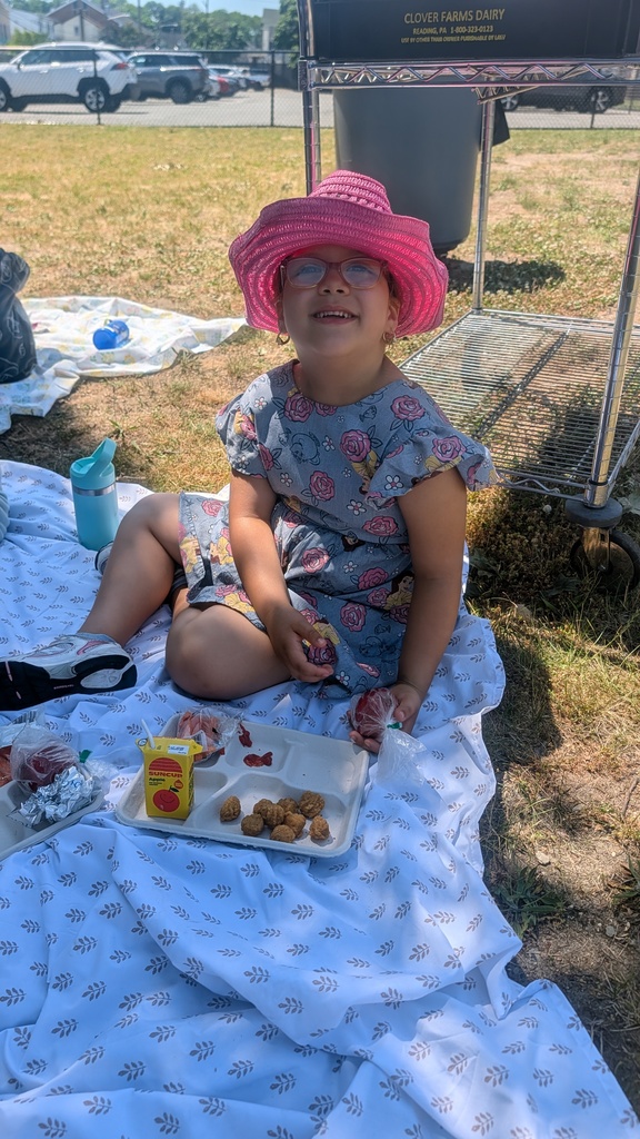 picnic
