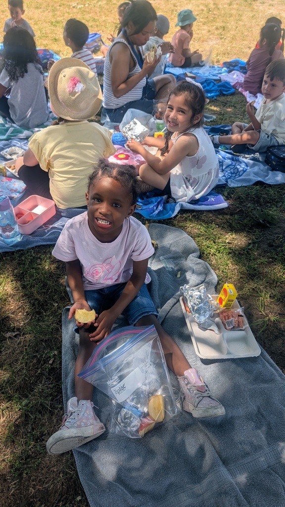 picnic