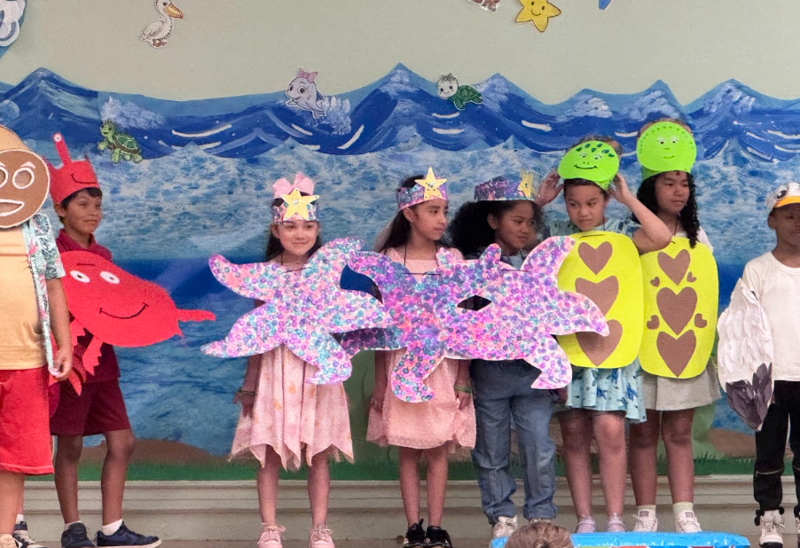 Sea Animals