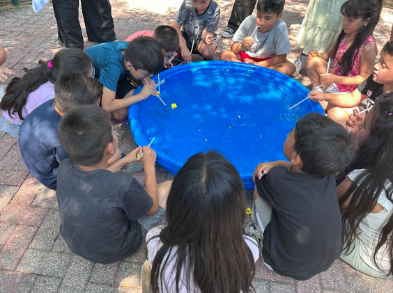 Ms. Brown's Lucky Duck Races