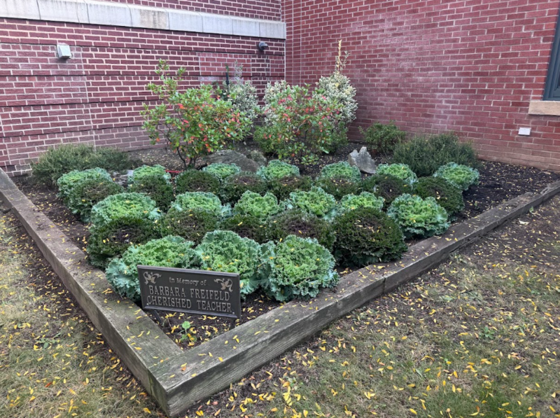 Courtyard Garden