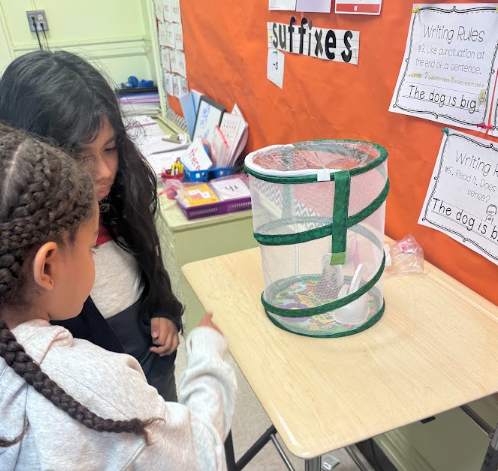 2nd Graders with butterflies