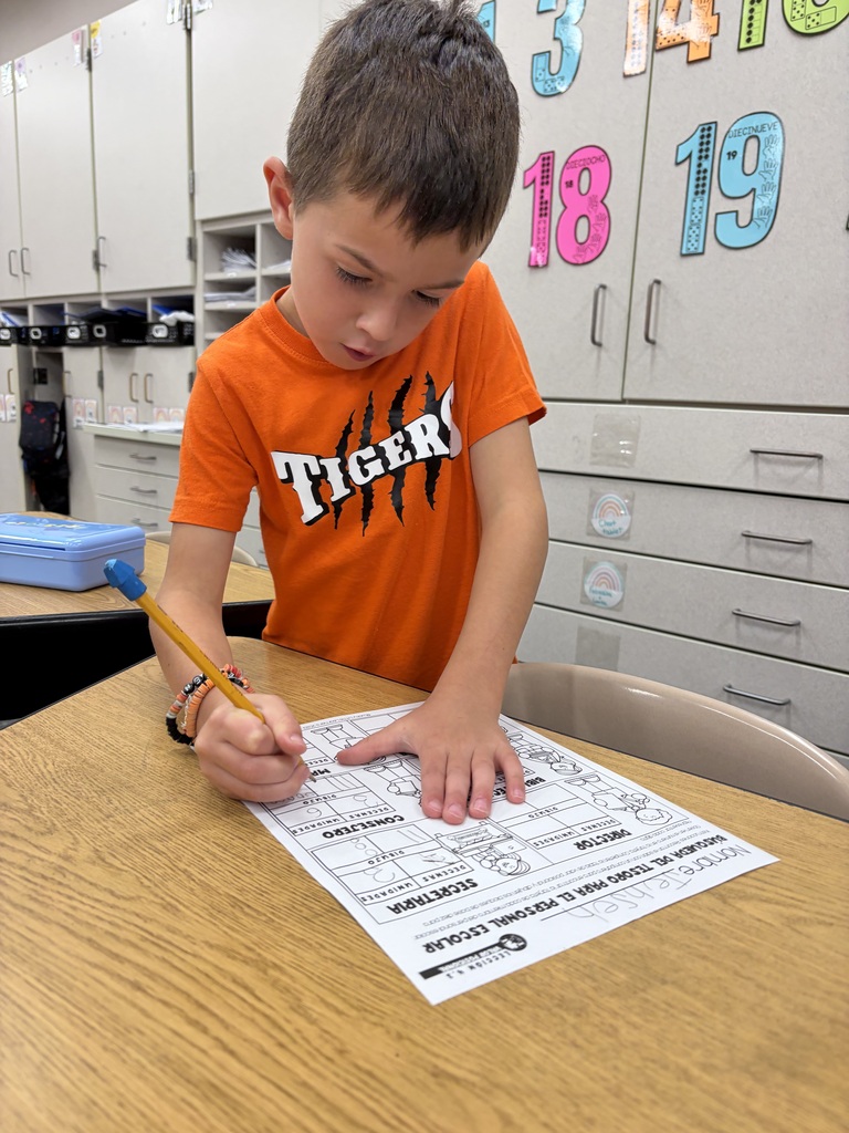 1st Grade